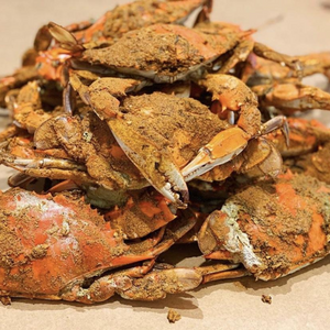 Large Male Steamed Crabs